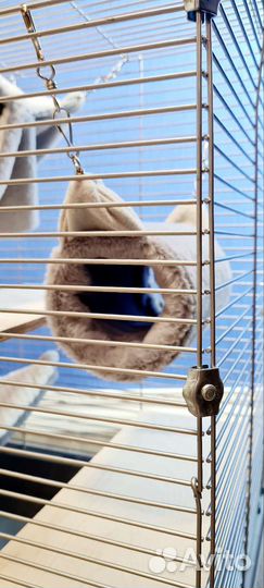 Дом клетка для грызунов шиншилл дегу крыс