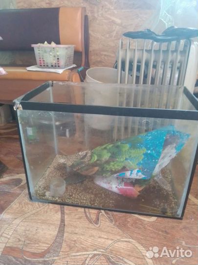 Аквариум 90л