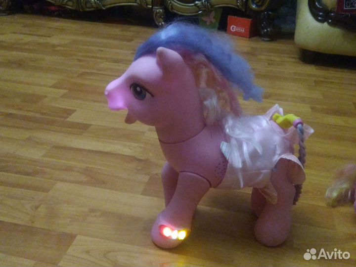 Little pony