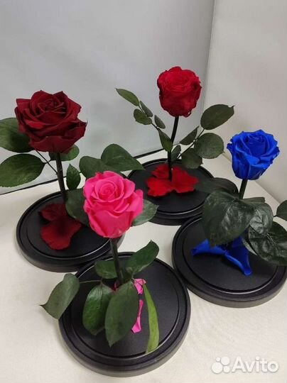 Роза в колбе оптом и в розницу