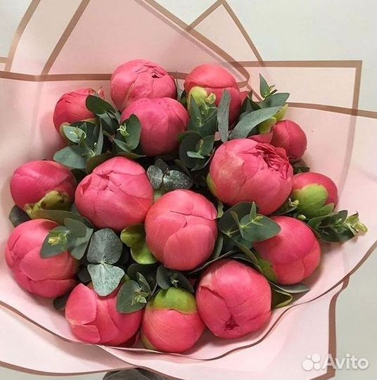 Пионы Букет пионов