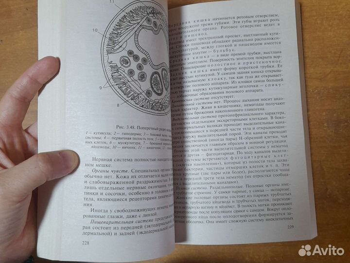 Пособие для поступающих в вузы Биология