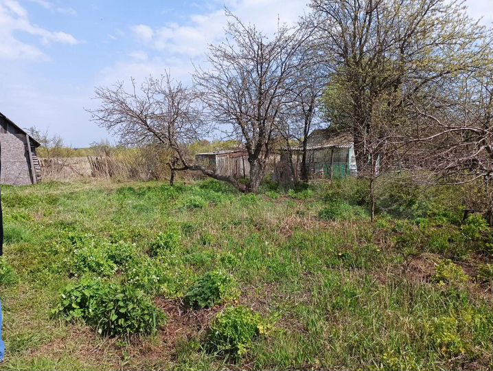 Дача 53 м² на участке 31 сот.