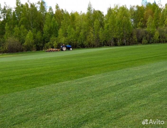 Рулонный газон от производителя