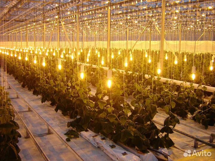 Комплект эмпра днат 70 для теплицы и гроубокса 220