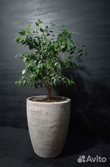 Вазоны, Горшки, Кашпо под заказ из бетона