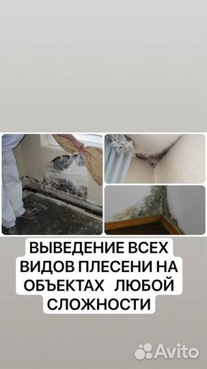 Введение плесени муравьи таракан клоп мыши