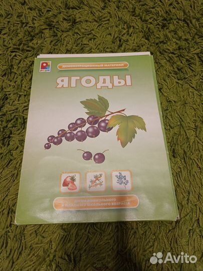 Демонстрационный материал Карточки