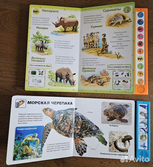 Говорящие/музыкальные книги-энциклопедии