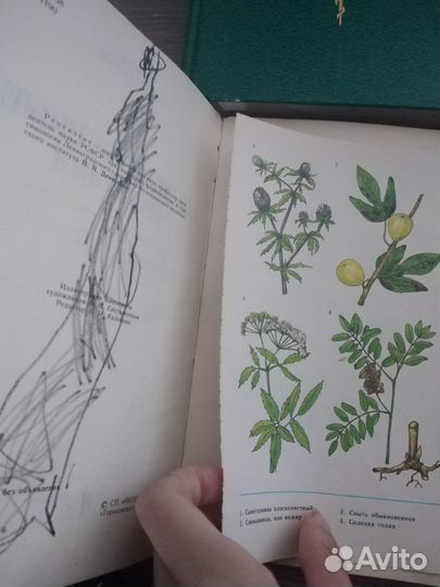 Книги о лекарственных средствах, растениях
