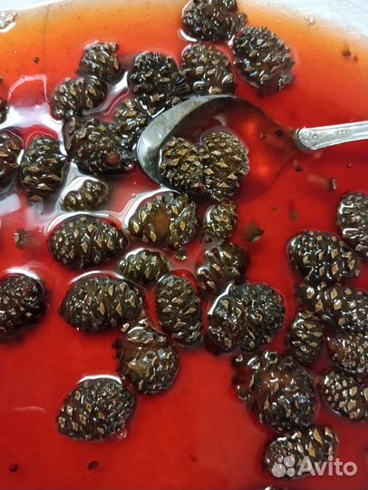 Варенье из сосновых шишек