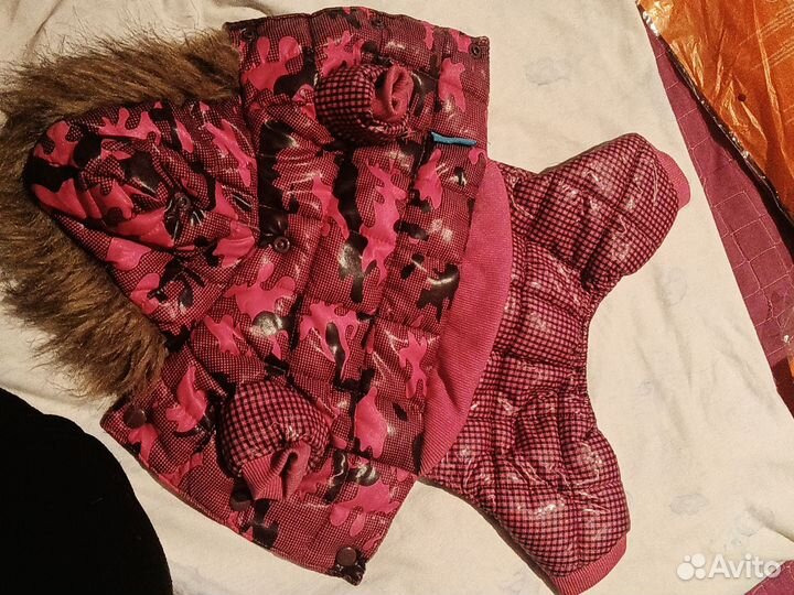 Комбинезоны для собаки