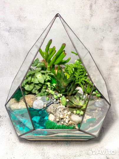 Большой флорариум с суккулентами