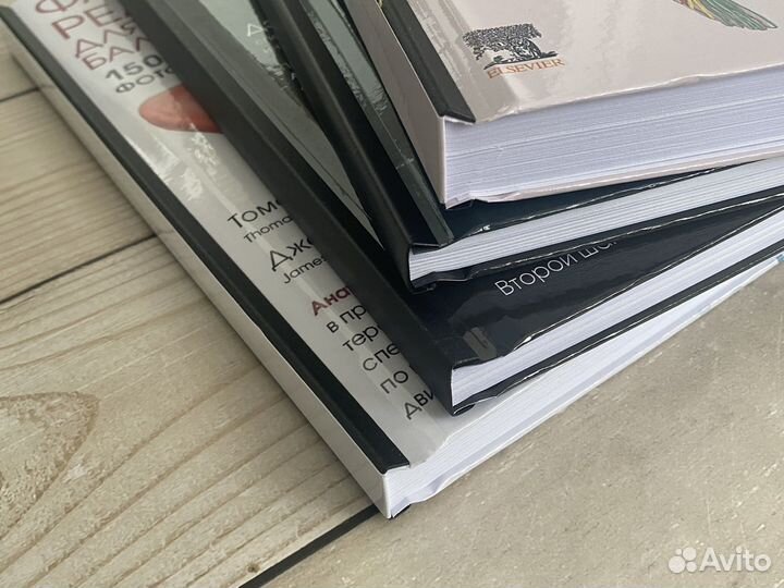 Анатомические поезда