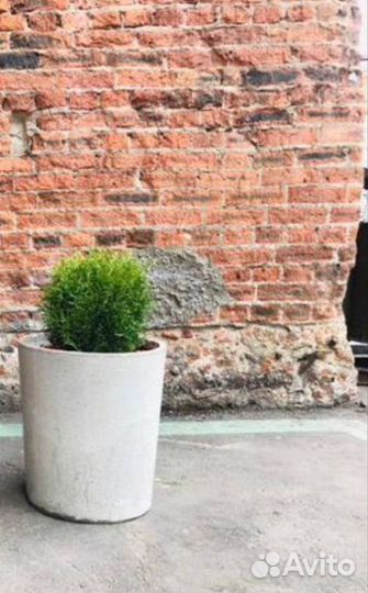 Бетонные кашпо для цветов с доставкой