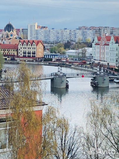 Тур в Калининград