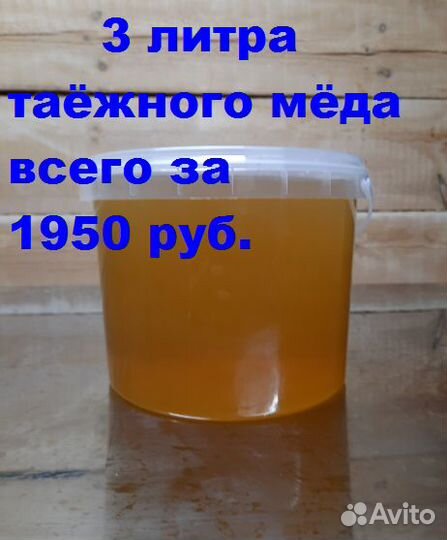 Мёд таёжный