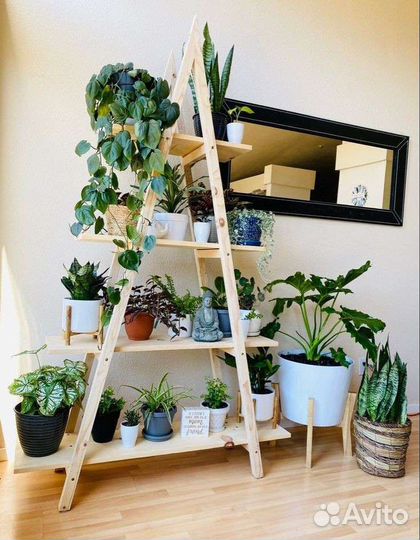 Стеллаж для цветов, подставка для растений