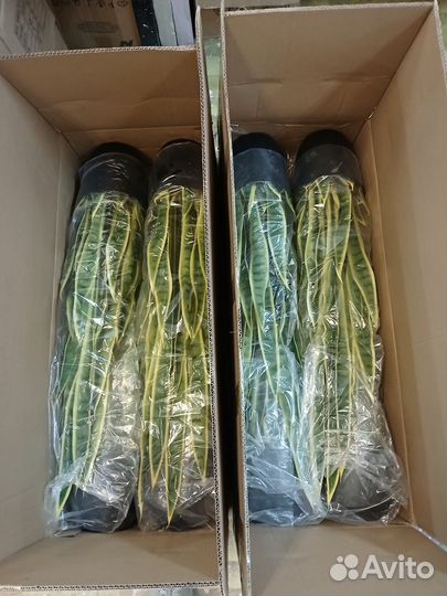 Сансевиерия искусственная в кашпо