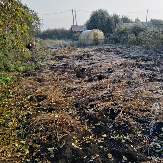 Участок 6,5 сот. (СНТ, ДНП)