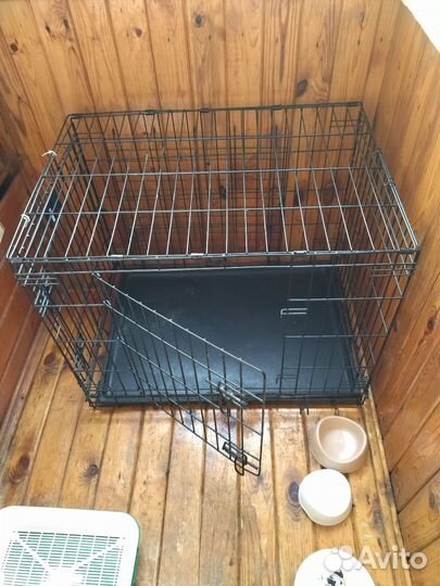 Клетка для кошек и собак аренда