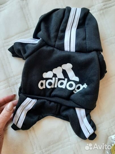 Одежда для собак