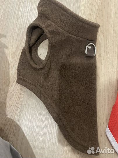 Одежда для собак мелких пород