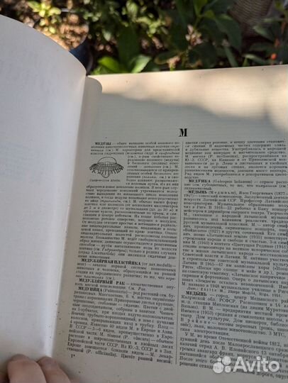 Большая советская энциклопедия