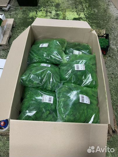 Стабилизированный мох, Серый