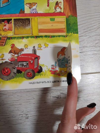 100 окошек книга