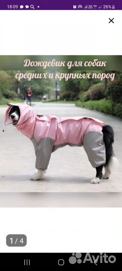 Дождевик для собак