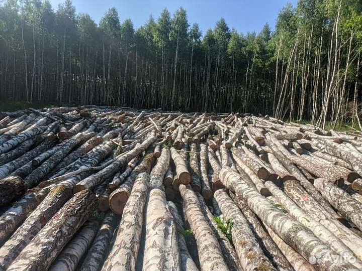 Лес кругляк пиловочник