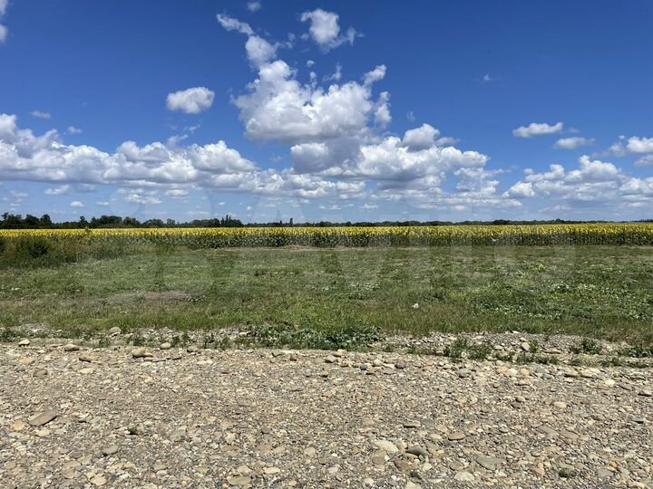 Участок 6,2 сот. (ИЖС)