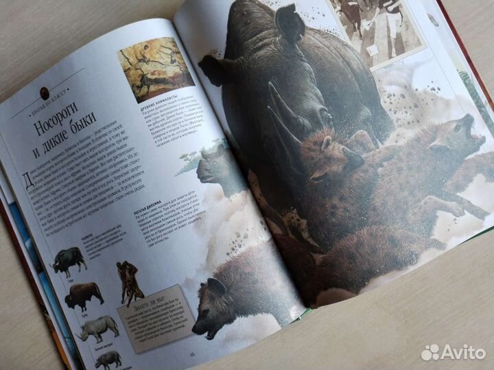 Энциклопедия самые опасные животные мира