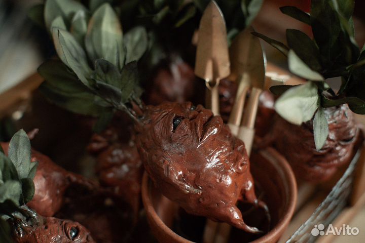 Гарри Поттер (мандрагора) harry potter mandrake
