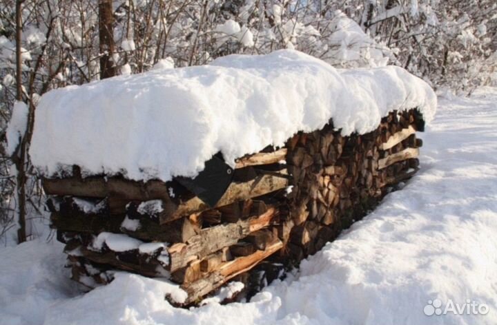 Дрова дубовые