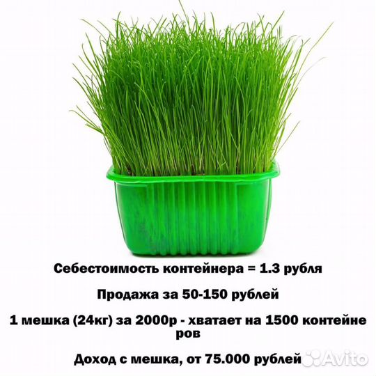 Трава для животных (готовый бизнес)