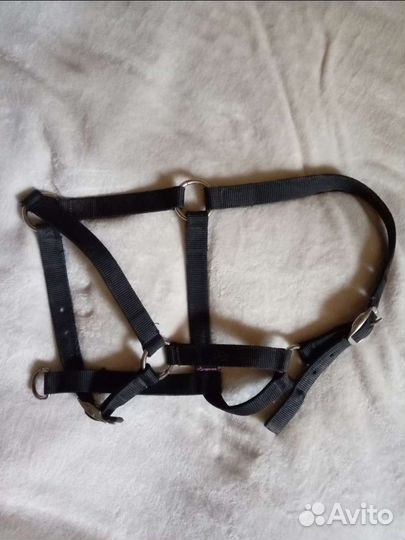 Амуниция для лошади: недоуздки, трензели, попона