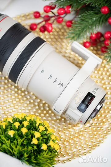 Canon EF 28-300mm f/3.5-5.6L IS USM