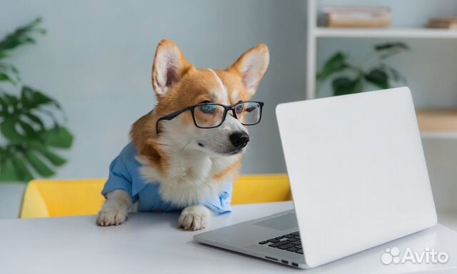 Курсовые работы, дипломные, отчеты, рефераты, вкр