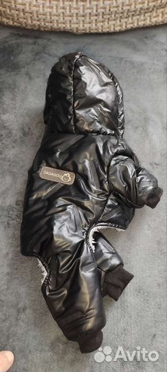 Теплый костюм для собачек