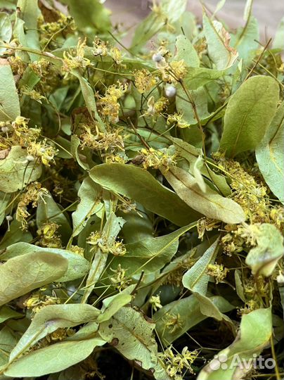 Иван чай(кипрей) и другие травы