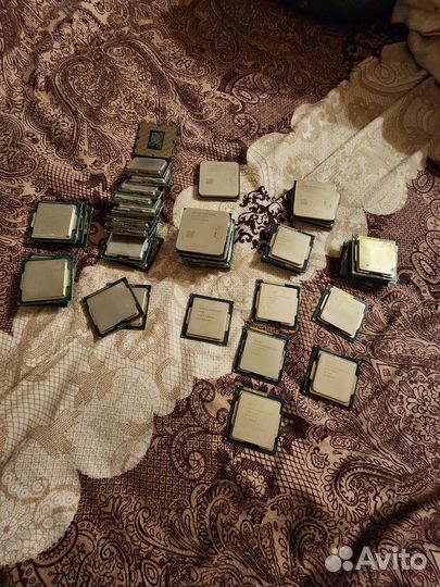 Процессор лот 43 процессора intel и amd