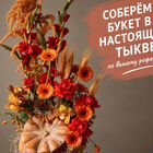 Цветочная тыква