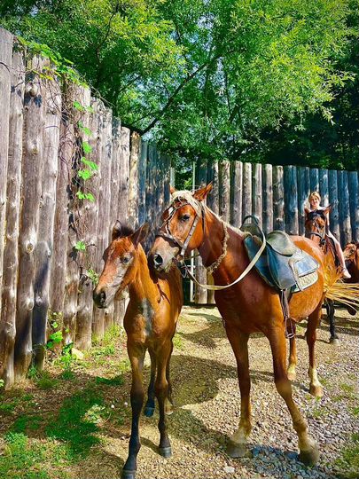 Дом 25 м² на участке 20 сот.