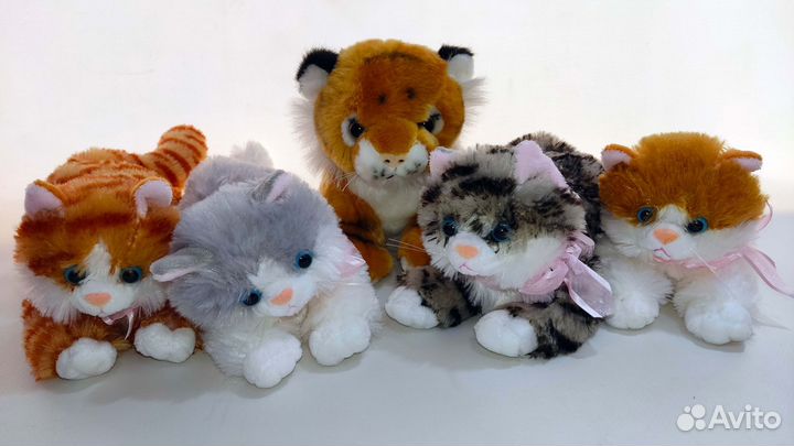 Котёнок мяукает