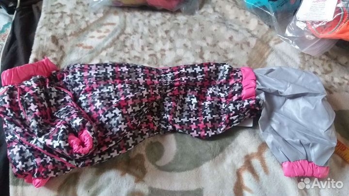 Куртки для Таксы