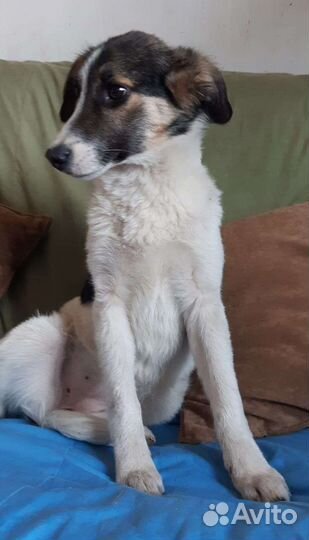 Маленькое чудо