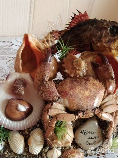 Морская композиция