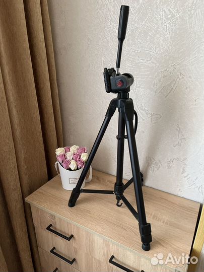 Штатив